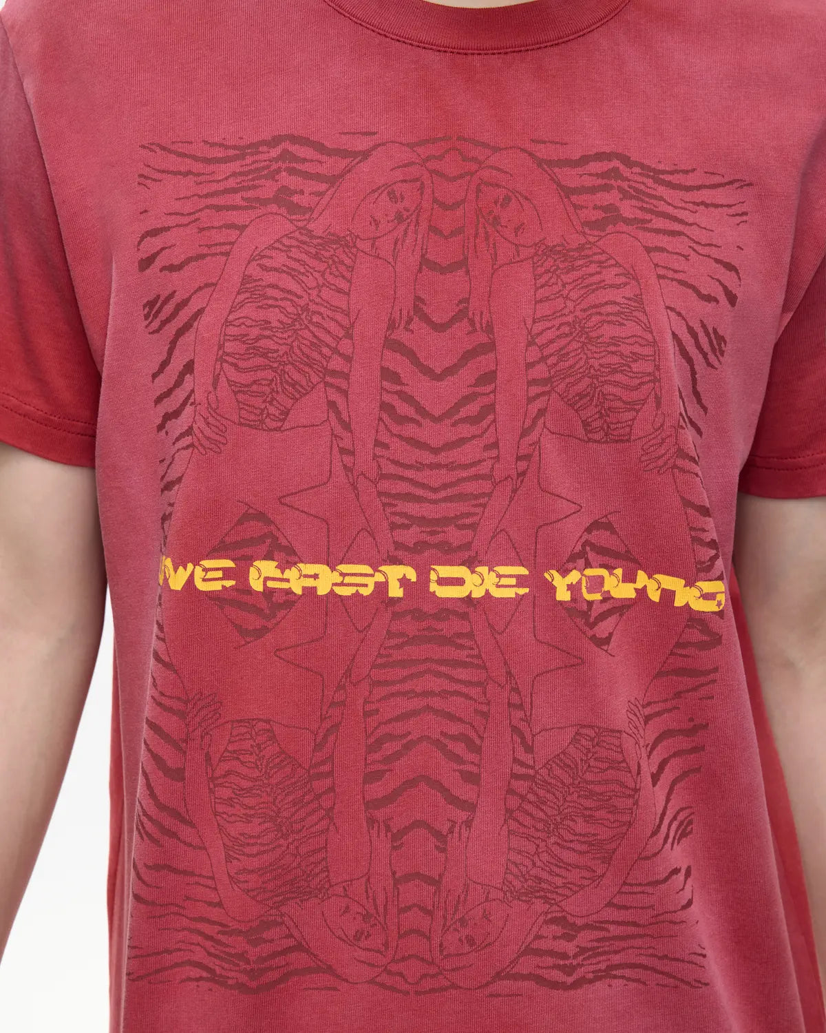 EMO 265g Faded Tiger Mirror Slim Tee（Red）